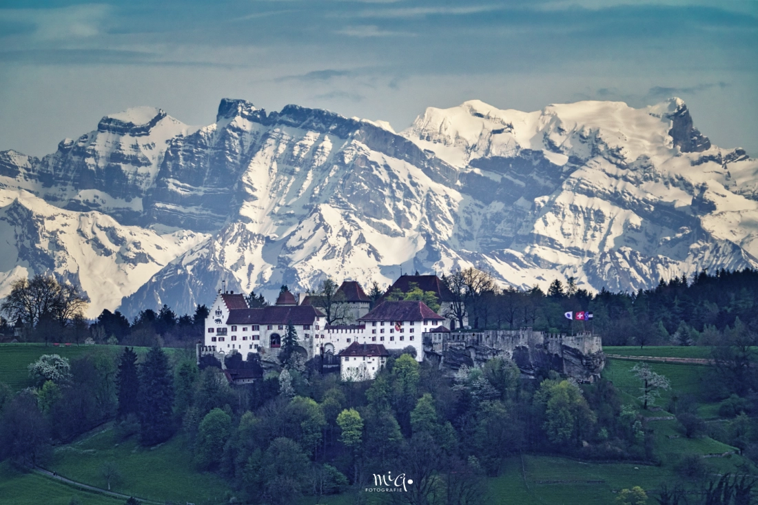 Das weisse Schloss Lenzburg auf einem Hügel vor den massiven, schneebedeckten Gipfeln der Alpen