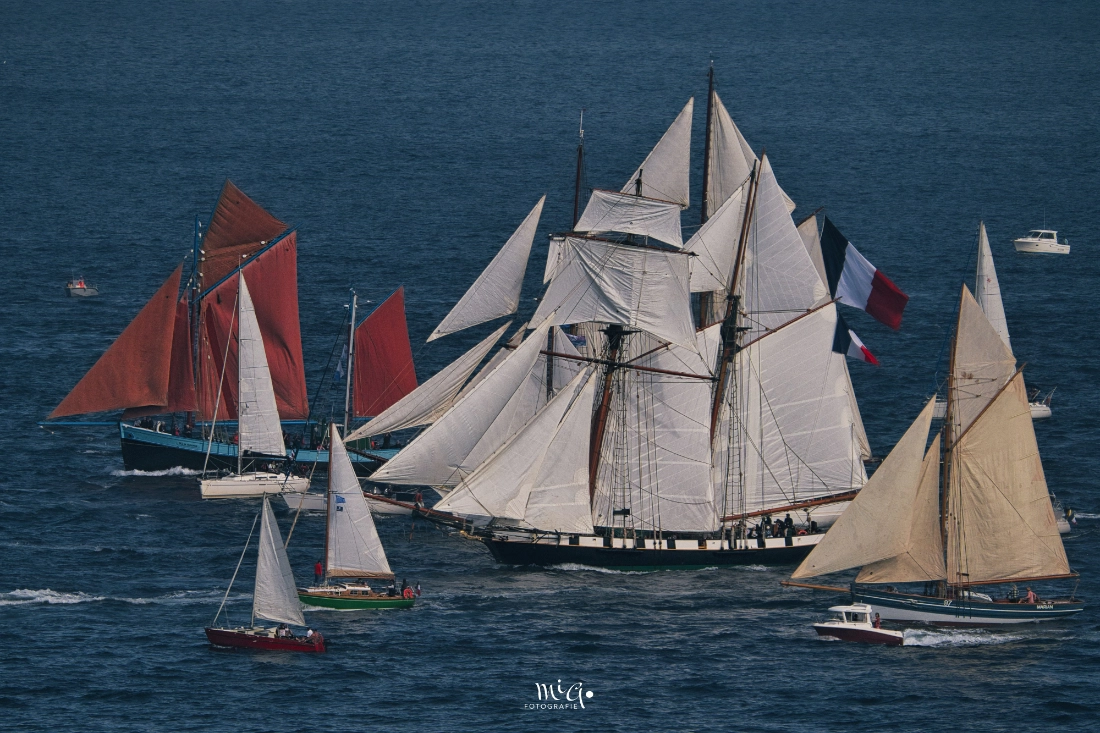 Segelschiff-Vielfalt vor Crozon – Brest 2024 Historische Segelschiffe mit weißen und roten Segeln bei der Schiffsparade vor Crozon während der Brest 2024